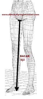 kadin beden olculeri nasil alinir beden olculeri tablosu beden olcusu alma yollari beden olcusu hesaplama yeni baslayanlar dikis dikis moda dikis