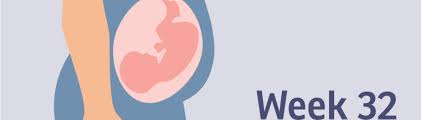 This conversion of 32 days to weeks has been calculated by multiplying 32 days by 0.1428 and the result is 4.5714 weeks. Pregnancy Week By Week Pregnancy Birth And Baby