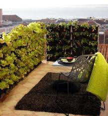 Mit Dem Minigarden System Einen Mini Garten Auf Dem Balkon Oder In Der Kuche Einrichten Minigarten Minigarden Mini Garten Garten Hochbeet Gartendesign Ideen