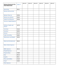 Business Expenses For Tax Reporting Business Budget Template Small Business Expenses Business Expense