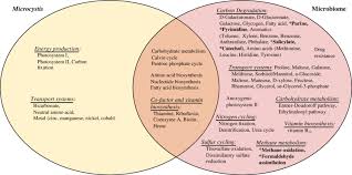 We will label, compare and contrast animal, plant, and bacteria cells product: Venn Diagram Showing The Distribution Of Complete Or Nearly Complete Download Scientific Diagram