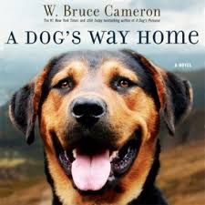 Sometimes the obvious choice is the color of her coat. Famous Dogs And Dog Names Links And Information