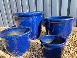 Overall i'm happy with how these painted terracotta pots turned out, and they do indeed spruce up the porch a bit! Decor Juicy Blue Pots Gardenwize Nursery
