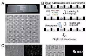 上海交大PNAS文章：高通量快速检测癌细胞的新方法- 微流控芯片 ...