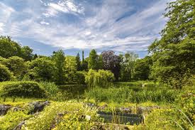 As scientific institution it provides resources for scientific research and teaching. Botanischer Garten Munster Feine Art