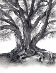 Black And White Pencil Drawings Of Trees Fig Tree Drawing Arte De Arboles Como Dibujar A Lapiz Paisajes Dibujos