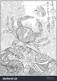 Coral Fish And Sea Shells Coloring Page For Adults Shutterstock 462750496 Raskraski Konturnye Risunki Risunki