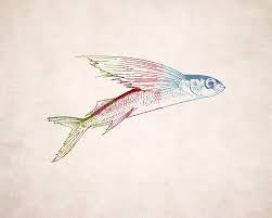 Flying Fish Illustration By World Art Prints And Designs Fish Illustration Fish Drawings Fish Art