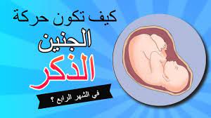 اختي انا دوبي دخلت الرابع ومن دخلته وانا احس بالام اسفل ظهري خاصه لمااصحى من النوم او لمااكون جالسه واوقف.والدكتوره كتبت لي كالسيوم وقالت بترتاحين ان شالله,,الله يتمم لي ولك على خير. ÙƒÙŠÙ ØªÙƒÙˆÙ† Ø­Ø±ÙƒØ© Ø§Ù„Ø¬Ù†ÙŠÙ† Ø§Ù„Ø°ÙƒØ± ÙÙŠ Ø§Ù„Ø´Ù‡Ø± Ø§Ù„Ø±Ø§Ø¨Ø¹ Youtube