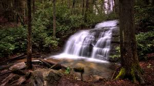 The blue ridge is part of the larger appalachian mountain range. 50 Things To Do In Blue Ridge Ga That Are The Ultimate In Fun