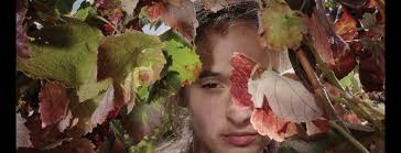 Portugal 2023 Cinema & Audiovisual