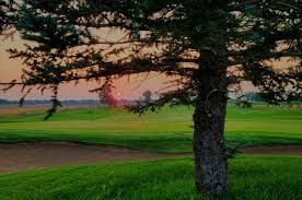 Profile for Aynes Photography