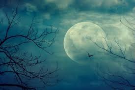Calendar fazele lunii aprilie 2021. Calendarul Lunar 2021 Cum SÄƒ ObservaÈ›i Luna LunÄƒ De LunÄƒ