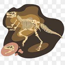 Fossil Dinosaur Tyrannosaurus Rex Dino Clipart Tyrannosaurus Dino Png And Vector With Transparent Background For Free Download Dinosaur Silhouette Dinosaur Illustration Tyrannosaurus