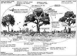 We are cutting down a tree in the spring before transplanting and sowing outdoors. Food Forests Designing Fruit Nut Tree Guilds Rideau 1000 Islands Master Gardeners