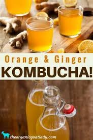 Check spelling or type a new query. Orange And Ginger Kombucha Recipe The Organic Goat Lady Ginger Kombucha Recipe Kombucha Recipe Kombucha Flavors Recipes