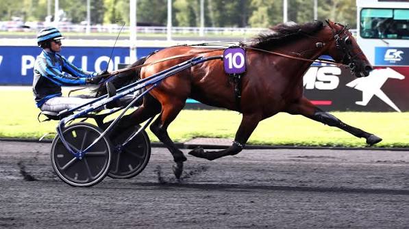 Idao de Tillard : le retour réussi du prodige | LETROT