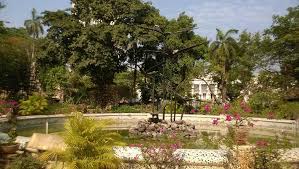 HORNIMAN CIRCLE GARDEN (2026) All You ...