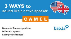 Baby camels are called calves. Camel Translation In Arabic Bab La