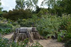 Botanischer Garten Dusseldorf