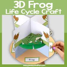 3d Frog Life Cycle Craft In 2020 Frog Life Cycle Craft Life Cycle Craft Frog Crafts