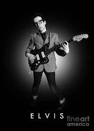 Elvis Costello Art for Sale