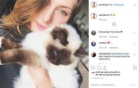 Ils refusent tout bonnement d'utiliser la chatière confectionnée à leur intention. Avis La Vie Secrete Des Chats Saison 4 Tf1 Retour En 2021 Actualite Tv Nouveautes Tele Com