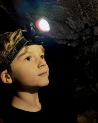 The Lifestyle Pioneers