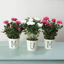 On that day mothers don't work. Mothering Sunday The 25 Best Gifts For Mothers Day 2021