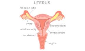 Cancer is a group of diseases that can cause almost any sign or symptom. Endometrium Cancer Know About The Symptoms And Treatment Of Uterine Cancer Medanta