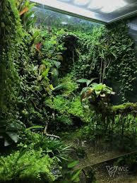 Paludarium M Rainforest Ivlc Terraria Climbingroses Dahlias Ivlc Mrainforest Paludarium Pansies P Aquarium Landscape Frog Terrarium Terrarium