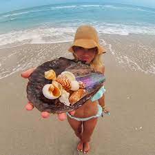 Most of the upmarket hotels in sanibel are located along the beach. 10 Ways To Shellebrate National Seashell Day In Sanibel My Life S A Movie