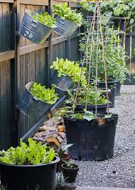 Plant pot & planter accessories. How To Grow Vegetables In A Galvanized Raised Garden Bed Garden Gate