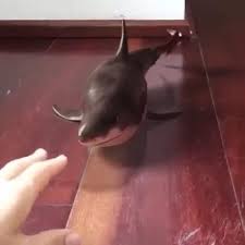 Pin On New Interesting Finding 01