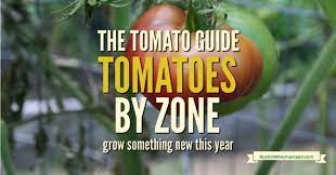 Vegtrugs, vegtrug planters, vegtrug elevated planters The Tomato Guide Find A Tomato For Your Garden Zone Rockin W Homestead