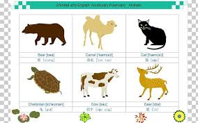 Make your own flashcards online. Flashcard Template Information Presentation Png Clipart Animal Animals Word Cliparts Cattle Like Mammal Computer Software Document