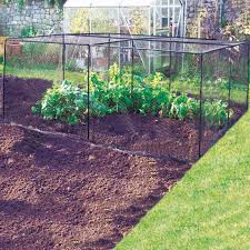 We decided to try our hand on building a blueberry cage. D I Y Crop Cage Dobies