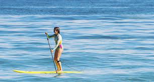 Resultado de imagen de paddle surf