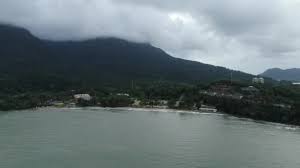 Jawabannya yaitu proporsional, tergantung jumlah halaman seluruh. Kuching Stok Video Kuching Rekaman Bebas Royalti Depositphotos