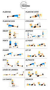 Fiches pdf à télécharger (planning, séances de. Circuit Training Renforcement Musculaire Full Body Sans Materiel
