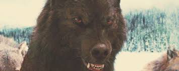 Don T Bite The Hand That Feeds You Gif Https Encrypted Tbn0 Gstatic Com Images Q Tbn 3aand9gcrt39k2eejvufa0zzbcgiqdm3einxdfdfkdjg Usqp Cau