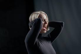 Albanian is the largest minority language. North Macedonia Tamara Todevska Releases International Sign Language Version Of Proud Eurovoix