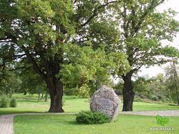 It is an ideal place for playing online free puzzles. Glika Ozoli