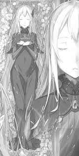 Platinum collection build your own bundle. Echidna Re Zero Wiki Fandom