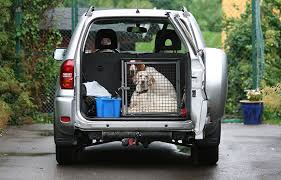 Do you want your pet to be the only pet inside the transportation vehicle? How To Find Pet Transport Jobs On Uship Today Uship