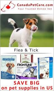 We offer the highest quality discount pet meds to help you save. Keep Your Puppy Healthy For Less Pet Meds Dog Care Dog Allergies