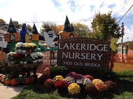 Lakeridgenursery is ranked 752,199 in the united states. Pumpkin Patch At Lakeridge Nursery In Lakeridge Va