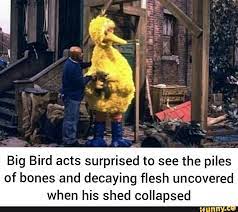 Big Bird Acts Surprised To See The Piles Of Bones And Decaying Flesh Uncovered When His Shed Collapsed Ifunny Really Funny Memes Dark Humour Memes Sesame Street Memes