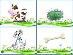 hangi hayvan ne yer evimin altin topu hayvan hayvanlar montessori