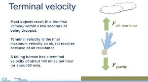 How can a falling object reach a terminal velocity? Gravity And Free Fall Ppt Video Online Download